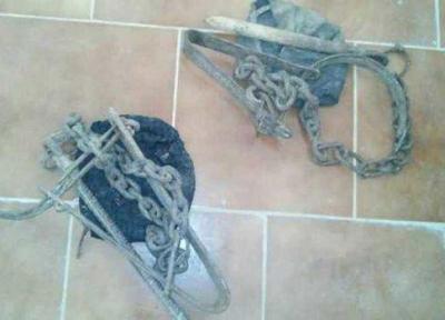 شکار غیرانسانی با تله گذاری در کنار چشمه ها