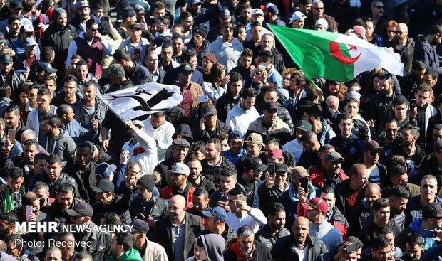ادامه تظاهرات الجزایری ها با وجود انصراف بوتفلیقه از نامزدی