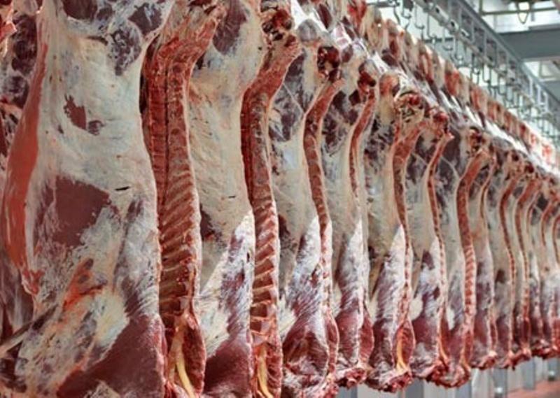 رئیس شورای تأمین کنندگان دام کشور در گفت وگو با خبرنگاران: کاهش قیمت گوشت قرمز در راه است، نرخ هر کیلو دام زنده سبک 34 هزار تومان