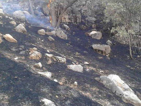 آتش در ارتفاعات صعب العبور مارین گچساران کنترل شده است