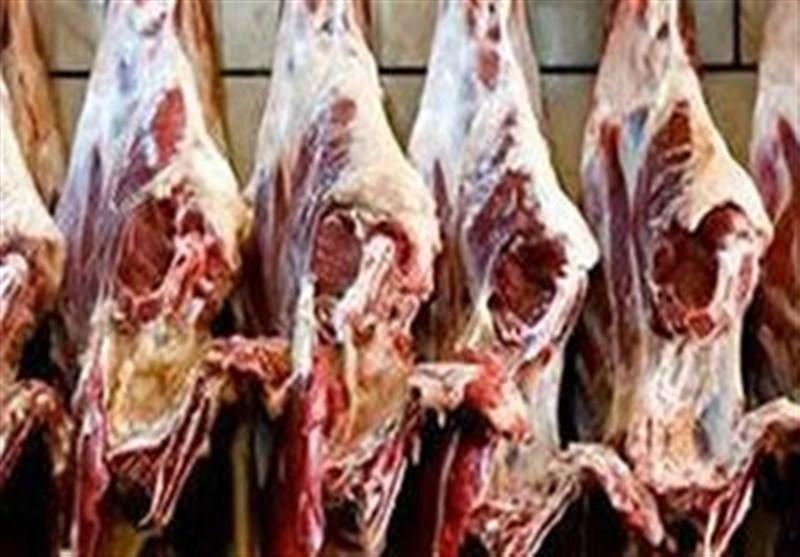 تولید حسگر زیستی برای شناسایی باکتری خطرناک گوشت