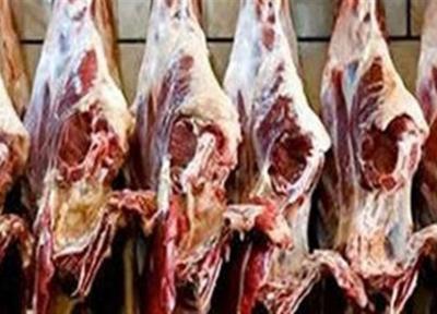 تولید حسگر زیستی برای شناسایی باکتری خطرناک گوشت