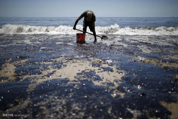نشت بیش از 5 هزار بشکه نفت از خطوط انتقالی داکوتای جنوبی
