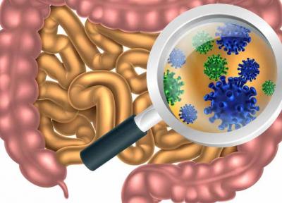 میکروب های روده، نیازمند توجه شما هستند