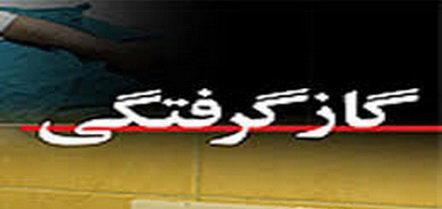 تهران دارای بیشترین آمار گازگرفتگی در کشور