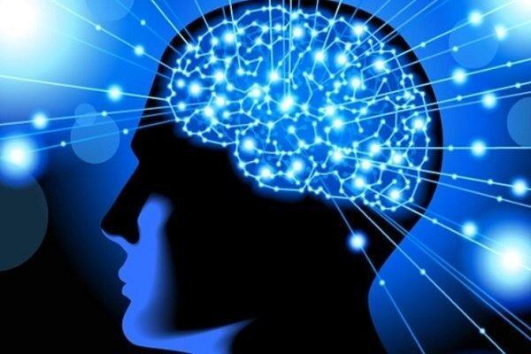 بیماری های تکامل سیستم عصبی با نشانگرهای زیستی پیش بینی می گردد