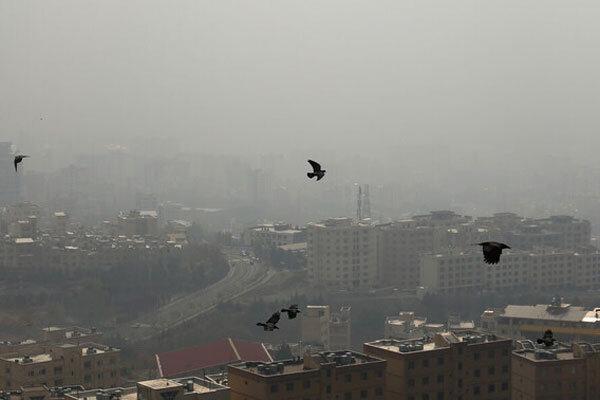 نفس صبحگاهی کرمانشاه باز شد نفس صبحگاهی کرمانشاه باز شد