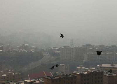 نفس صبحگاهی کرمانشاه باز شد