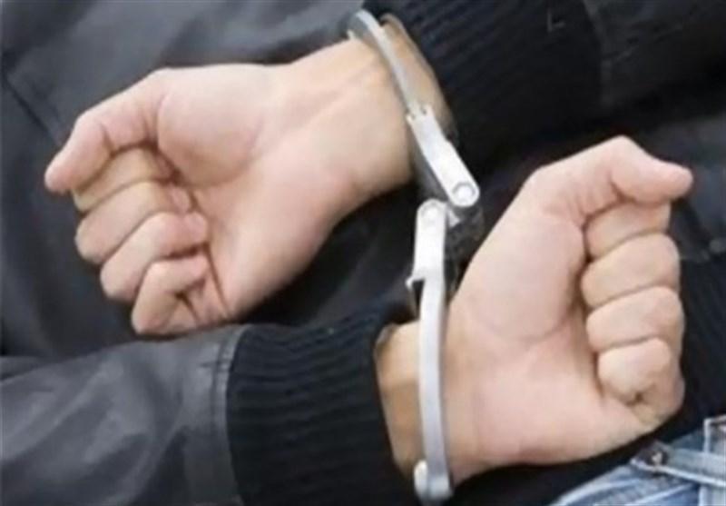بازداشت یکی از عاملان اغتشاشات در خیابان ولیعصر (عج)