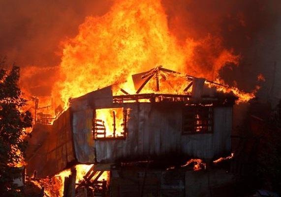 بی خانمان 700 نفر در آتش سوزی جنگل های شیلی