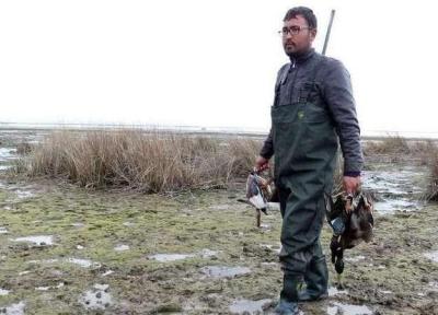 شکار پرندگان در شرق مازندران ممنوع شد