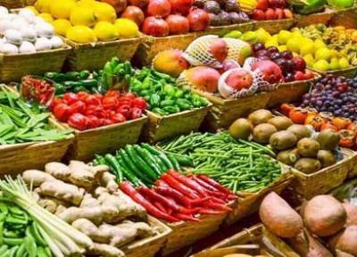 صادرات گیاهان اصلاح ژنتیکی به آذربایجان ، شرکت های دانش بنیان از دولت انتظارات مادی ندارند