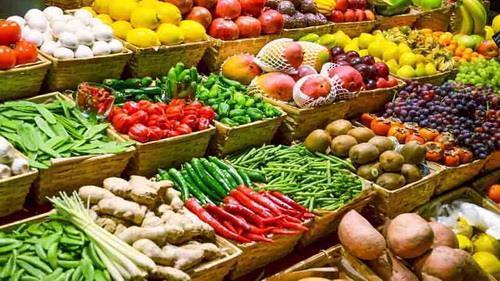صادرات گیاهان اصلاح ژنتیکی به آذربایجان ، شرکت های دانش صادرات گیاهان اصلاح ژنتیکی به آذربایجان ، شرکت های دانش بنیان از دولت انتظارات مادی ندارند