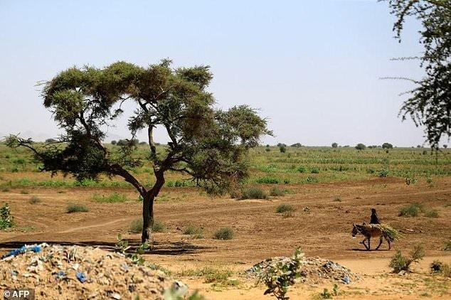 سازمان ملل خواستار هیئت سیاسی در دارفور شد