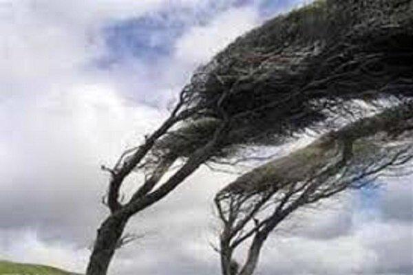 تندباد استان مرکزی را درنوردید