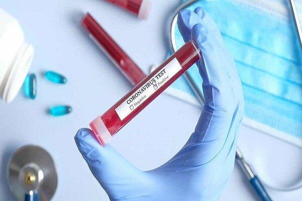 افزایش چشمگیر مرگ و میر در هلند افزایش چشمگیر مرگ و میر در هلند