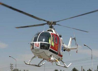 نوزاد عجول در آسمان به دنیا آمد