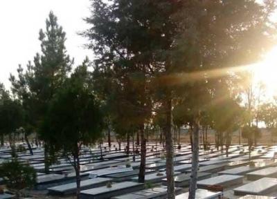 خلیل آبادی: بهشت زهرا (س) ظرفیت فعالیت در حوزه گردشگری را دارد