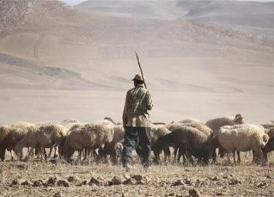 نوای نی چوپان دوباره در روستایش خواهد پیچید