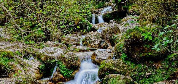 آبشار کبودوال گلستان؛ تنها آبشار خزه ای ایران، عکس