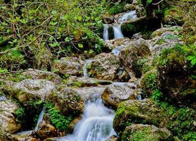 آبشار کبودوال گلستان؛ تنها آبشار خزه ای ایران، عکس