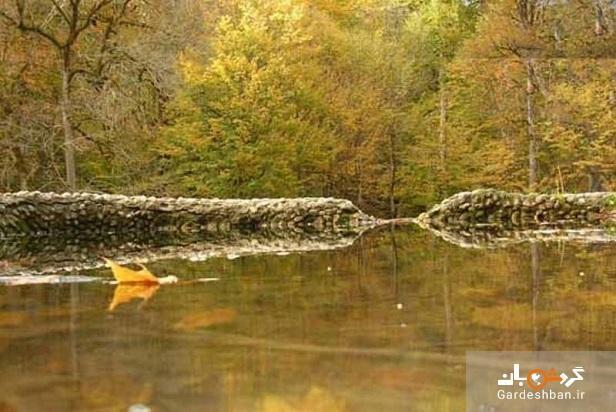 جنگل سنگده؛زیبایی حیرت انگیز جنگل و آبشار در مازندران، تصاویر