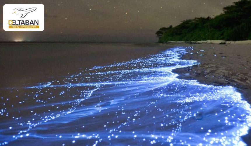 زیباترین سواحل شب تاب در دنیا
