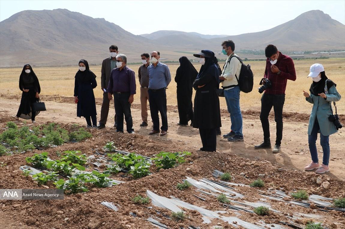 ایجاد اکوتوریسم دانش آموزی در مزرعه تحقیقاتی دانشگاه آزاد اسلامی شهرکرد