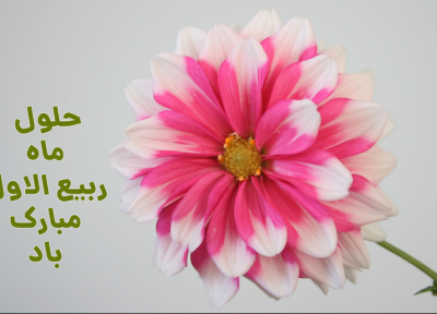 مهم ترین اعمال شب و روز اول ربیع الاول