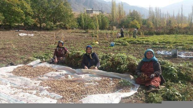 خبرنگاران 60 صندوق اعتبارات خرد زنان روستایی در استان اردبیل خبرنگاران 60 صندوق اعتبارات خرد زنان روستایی در استان اردبیل فعال است