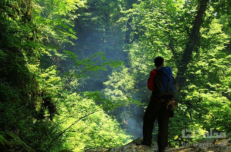 جنگل های انجیلی؛ طبیعت سوادکوه جنگل های انجیلی؛ طبیعت سوادکوه