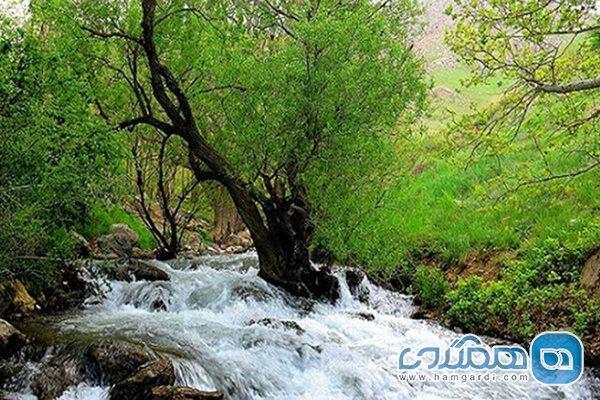 پایان فاز چهارم محوطه سازی سراب فارسبان پایان فاز چهارم محوطه سازی سراب فارسبان