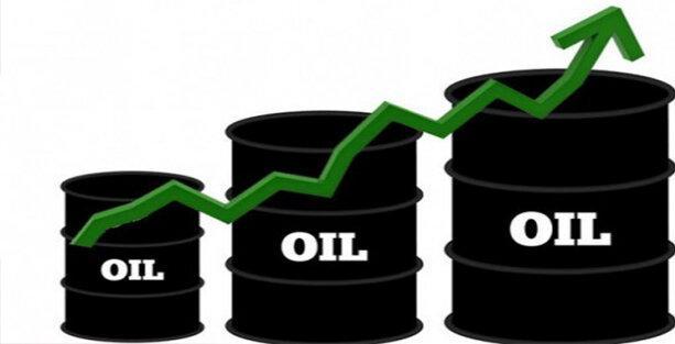 ترمز ریزش قیمت نفت کشیده شد