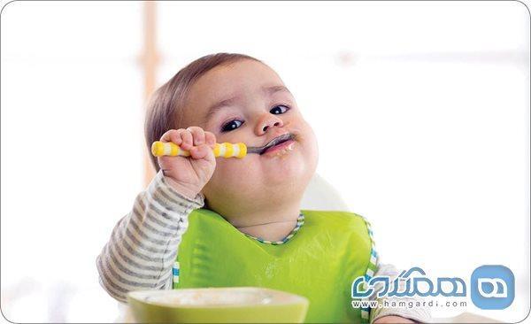 چند نکته برای تهیه غذای کودک