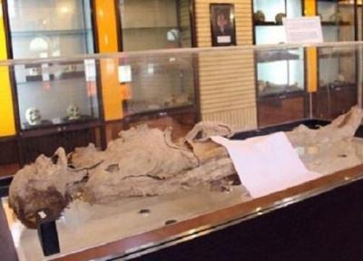 ثبت ملی جسد مومیایی شده یزد