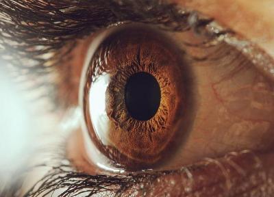 چشم به مغز چه پیغام هایی می فرستد؟