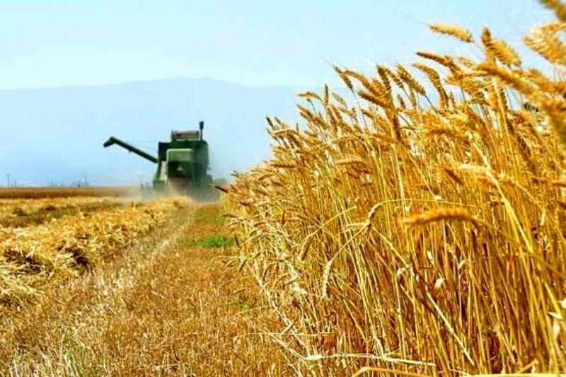 رشد مالی 1.7 درصدی بخش کشاورزی