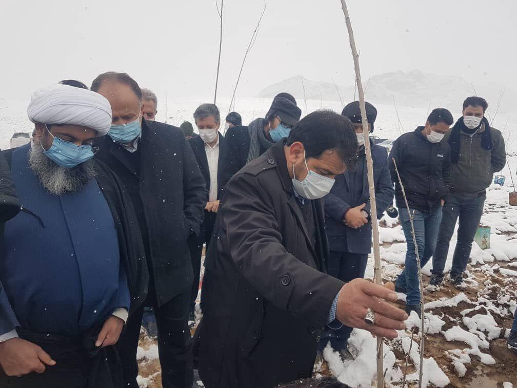خبرنگاران عملیات نهالکاری در سطح 232 هزار هکتار اراضی کشور خبرنگاران عملیات نهالکاری در سطح 232 هزار هکتار اراضی کشور آغاز شد