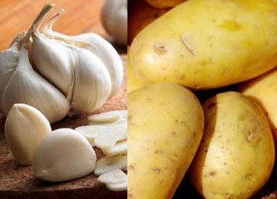 باید و نبایدهای مصرف سیر و سیب زمینی