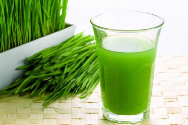 17 خاصیت شگفت انگیز آب سبزه گندم