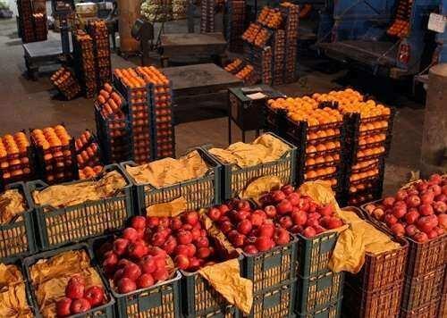 تهیه و ذخیره سازی 200 تن پرتقال و سیب برای شب عید در کهگیلویه تهیه و ذخیره سازی 200 تن پرتقال و سیب برای شب عید در کهگیلویه و بویراحمد