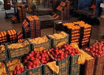 تهیه و ذخیره سازی 200 تن پرتقال و سیب برای شب عید در کهگیلویه و بویراحمد