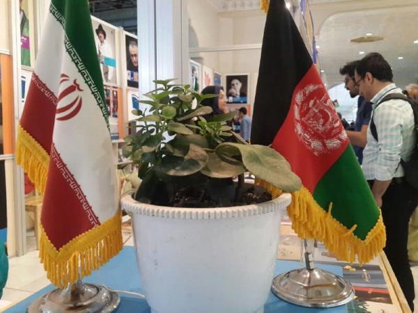 خبرنگاران زمینه حضور فعالان فرهنگی در ایران و افغانستان فراهم گردد