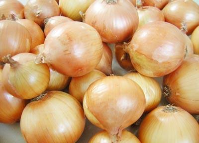 پیراسته: روزگار پیاز کاران سیاه شده