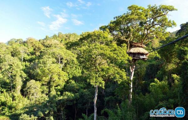 اقامتی هیجان انگیز در بلندترین خانه درختی دنیا در لائوس
