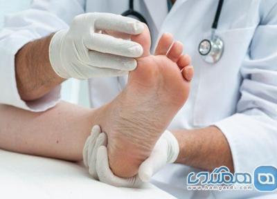 شست پا تقریبا نصف وزن بدن را تحمل می نماید