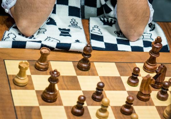 انتصاب سرمربیان تیم های ملی شطرنج