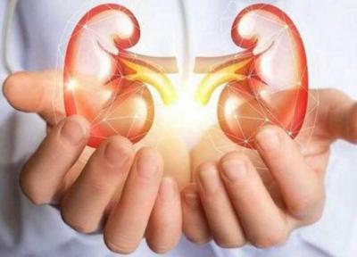 تاثیر متناقض زینک در بروز سنگ کلیه