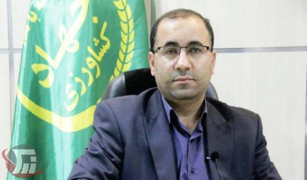 بهره برداری از 39 طرح کشاورزی همزمان با هفته دولت در لرستان بهره برداری از 39 طرح کشاورزی همزمان با هفته دولت در لرستان
