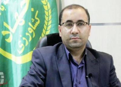 بهره برداری از 39 طرح کشاورزی همزمان با هفته دولت در لرستان